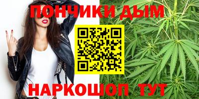 индика Будённовск