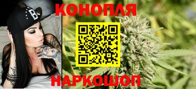 индика Будённовск